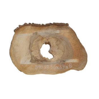 Plaster Orzecha Włoskiego 56x37x6cm