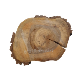 Plaster Orzecha Włoskiego 48x39x5cm