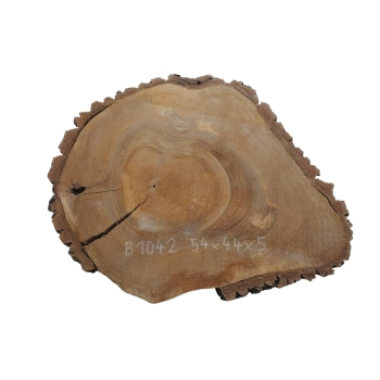 Plaster Orzecha Włoskiego 54x44x5cm