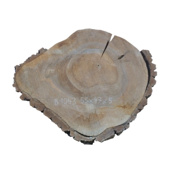 Plaster Orzecha Włoskiego 55x47x5cm