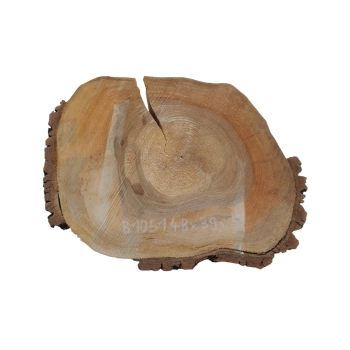 Plaster Orzecha Włoskiego 48x39x5cm