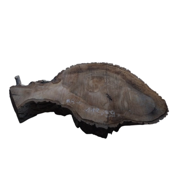 Plaster Orzecha Włoskiego 118x59x10cm