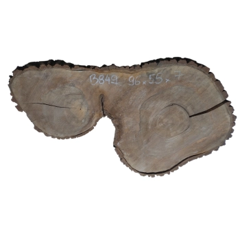 Plaster Orzecha Włoskiego 96x55x7cm