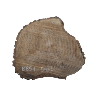 Plaster Orzecha Włoskiego 54x50x7cm