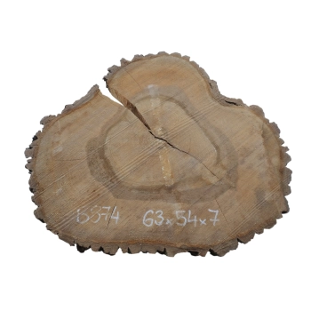 Plaster Orzecha Włoskiego 63x54x7cm