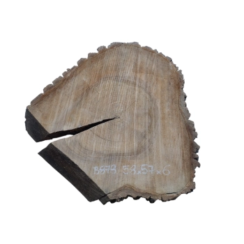 Plaster Orzecha Włoskiego 65x25/30x6cm