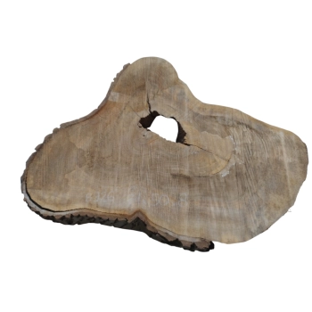 Plaster Orzecha Włoskiego 71x50x8cm