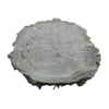 Plaster Topoli z Czeczotą 77x68x10cm