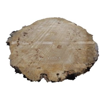 Plaster Topoli z Czeczotą 83x73x9cm