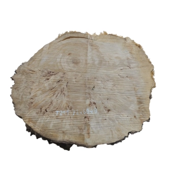 Plaster Topoli z Czeczotą 72x60x8cm