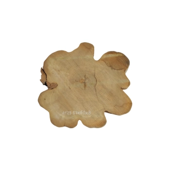 Plaster Akacji 59x60x8cm