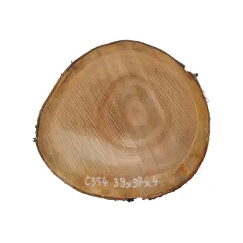 Plaster Czereśni 39x37x4cm