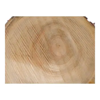 Plaster Czereśni 39x37x4cm