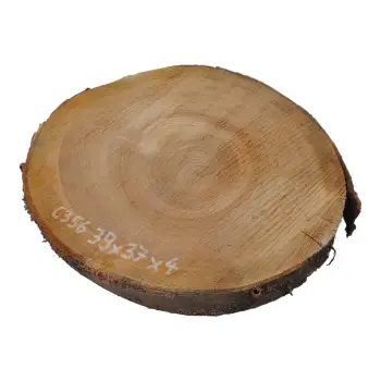 Plaster Czereśni 39x37x4cm