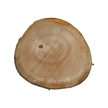 Plaster Czereśni 38x37x4cm