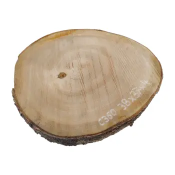 Plaster Czereśni 38x37x4cm