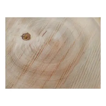 Plaster Czereśni 38x37x4cm