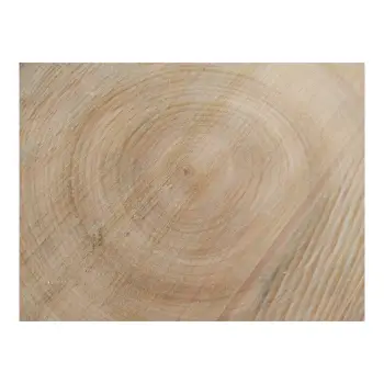 Plaster Czereśni 38x36x4cm