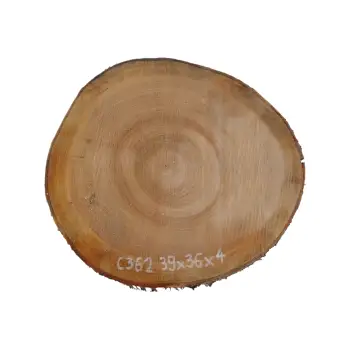 Plaster Czereśni 39x36x4cm