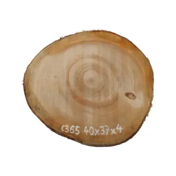 Plaster Czereśni 40x37x4cm