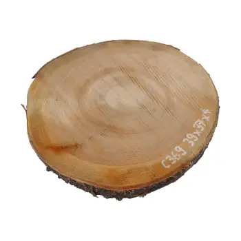 Plaster Czereśni 39x37x4cm