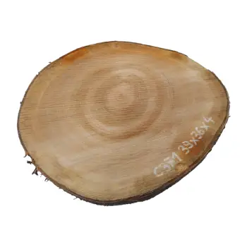 Plaster Czereśni 39x36x4cm