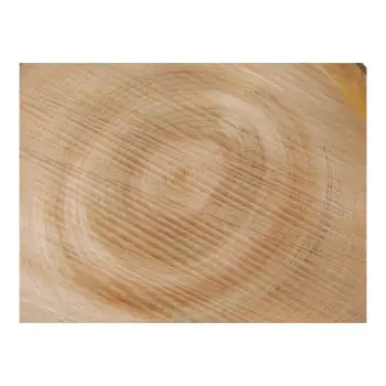 Plaster Czereśni 39x36x4cm