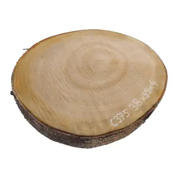 Plaster Czereśni 38x35x4cm