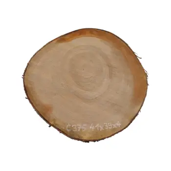 Plaster Czereśni 41x39x4cm