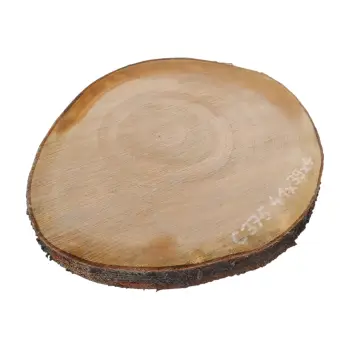 Plaster Czereśni 41x39x4cm