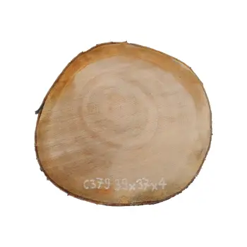 Plaster Czereśni 38x37x4cm