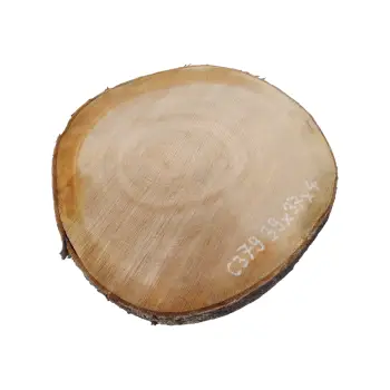 Plaster Czereśni 38x37x4cm