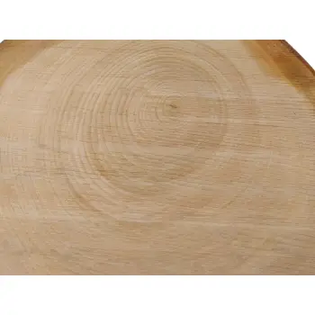 Plaster Czereśni 40x38x4cm