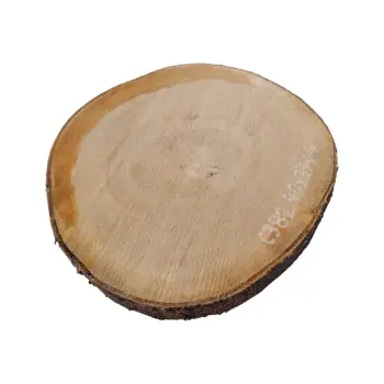 Plaster Czereśni 40x37x4cm