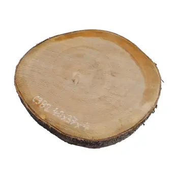 Plaster Czereśni 40x37x4cm