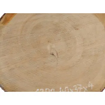 Plaster Czereśni 40x37x4cm