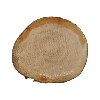 Plaster Czereśni 40x36x4cm