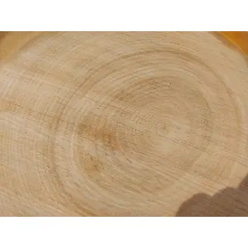 Plaster Czereśni 39x36x4cm