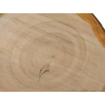 Plaster Czereśni 39x37x4cm