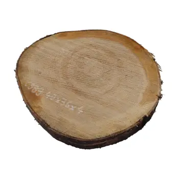 Plaster Czereśni 40x36x4cm