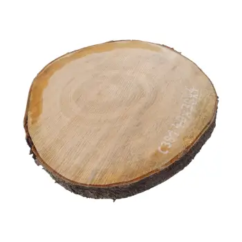 Plaster Czereśni 40x39x4cm