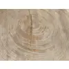 Plaster Dębowy 52x46x6cm Dąb