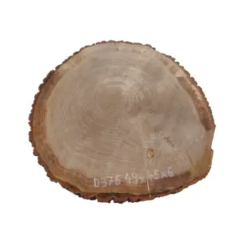 Plaster Dębowy 49x45x6cm Dąb