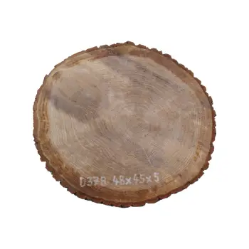 Plaster Dębowy 48x45x5cm Dąb