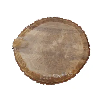 Plaster Dębowy 50x44x5cm Dąb