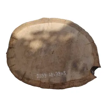 Plaster Dębowy 48x39x5cm Dąb