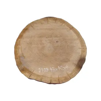 Plaster Dębowy 43x42x4cm Dąb