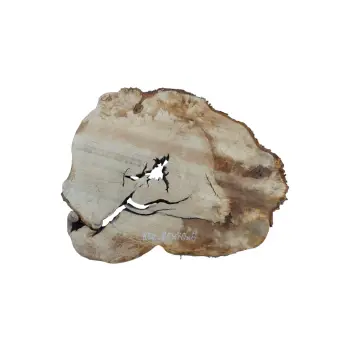 Plaster Kasztanowca 88x70x8cm