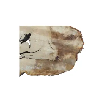 Plaster Kasztanowca 88x70x8cm