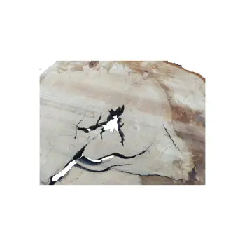 Plaster Kasztanowca 88x70x8cm